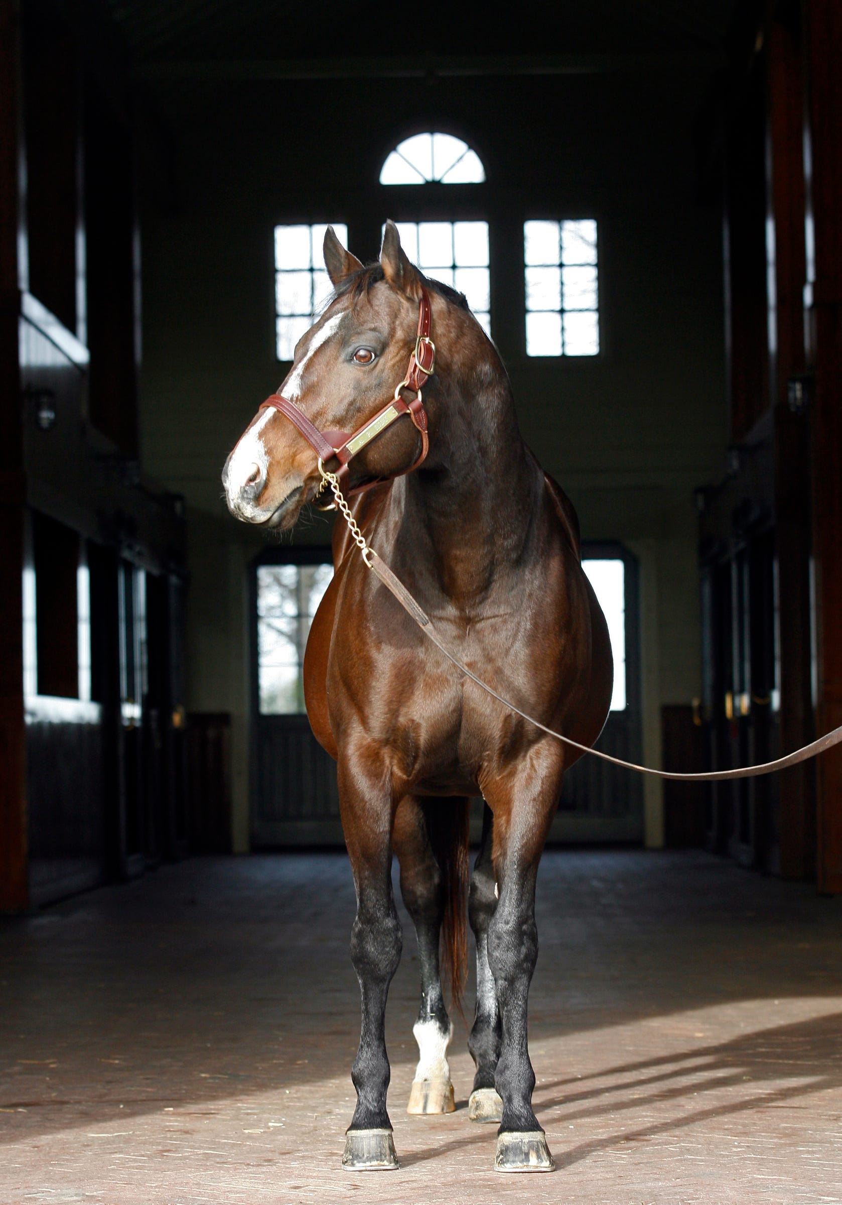 Santa Anita Derby winners make the grade as sires